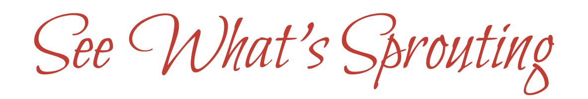 See What’s Sprouting